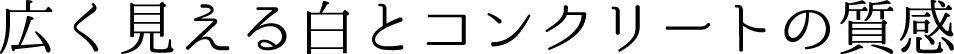 広く見える白とコンクリートの質感