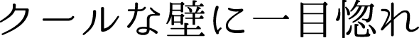 クールな壁に一目惚れ