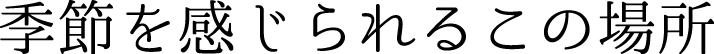 季節を感じられるこの場所