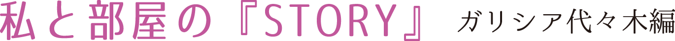 私と部屋のSTORY　ガリシア代々木編