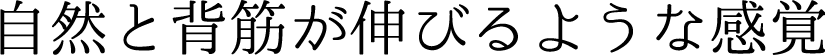 自然と背筋が伸びるような感覚