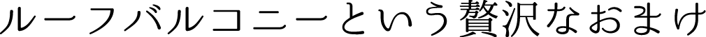 ルーフバルコニーという贅沢なおまけ